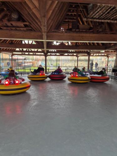 WhatsApp Image 2026-03-21 at 11.56.43