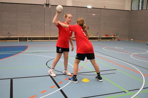 IMG 2495 (1)