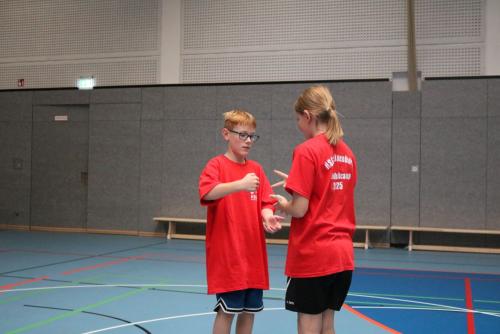 IMG 2585