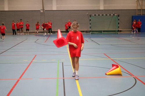 IMG 2938