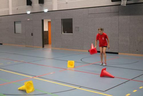 IMG 2985